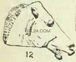 ANIMAL_0124